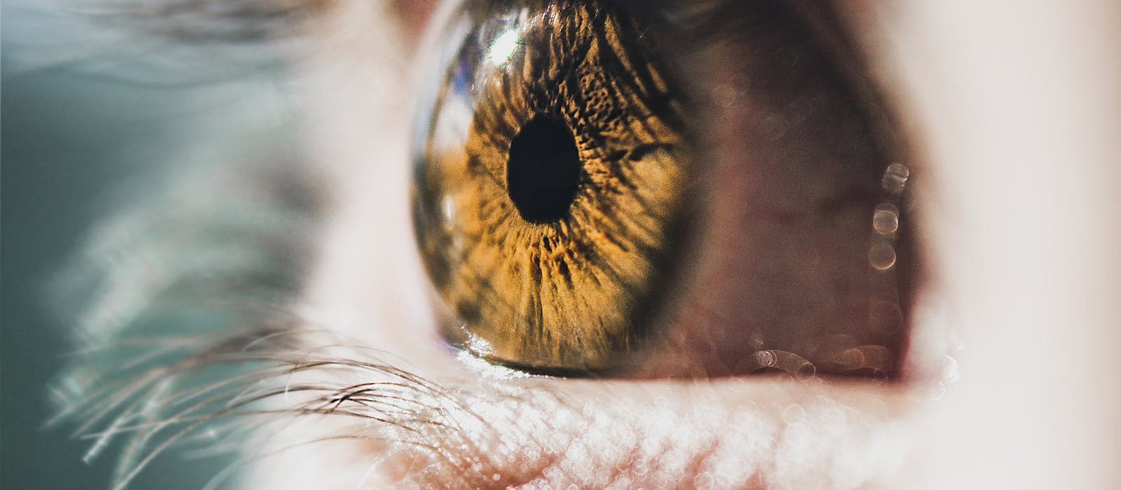Close-up of a healthy human eye iris - Kenz Eye Care