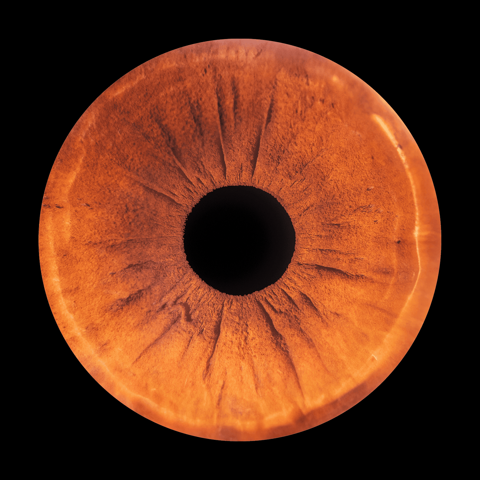 Blurry Vision: Common Causes and When to Worry