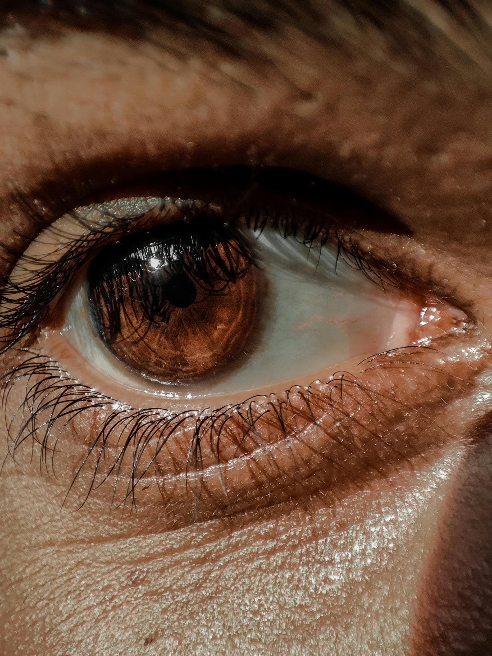 Floaters and Flashes in Vision: A Complete Guide