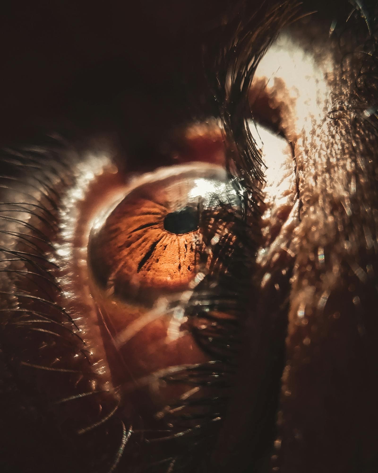 Symptoms of Retinal Detachment: Know the Warning Signs